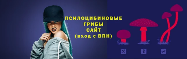 кокс Волоколамск