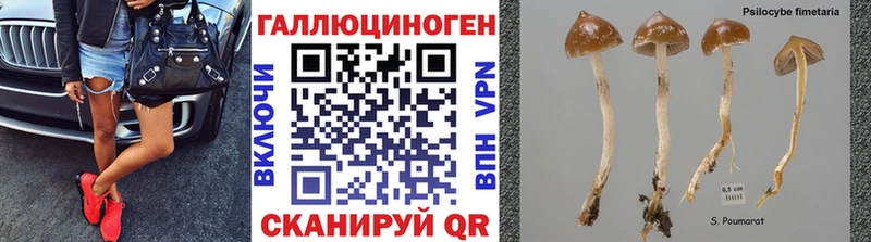 Купить  Ладушкин  Галлюциногенные грибы прущие грибы 